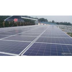 金鼎盛世 以服務至上的理念，引領太陽能發電行業新篇章